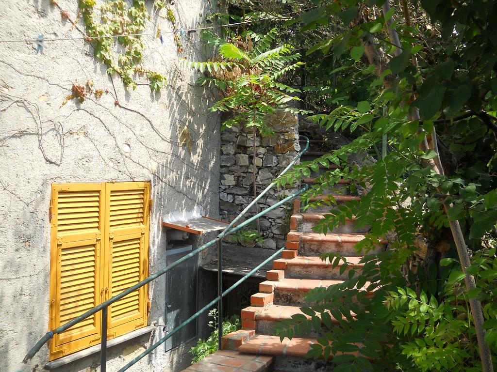 Ornella Villa Genoa